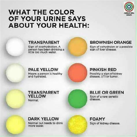 Urine Color Chart Whats Normal And When To See A Doctor Nurse Study