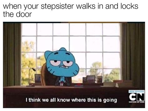 What Are You Doing Stepsis Rdankmemes