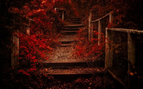 Nature Landscape Fall Path Leaves Shrubs Red Fence Stairs