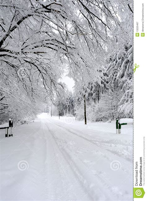 White Road And Trees In Winter Season Royalty Free Stock