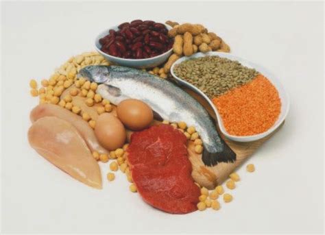 Makanan protein tinggi untuk fitness. 12 Makanan yang Memiliki Kandungan Protein Terbaik ...