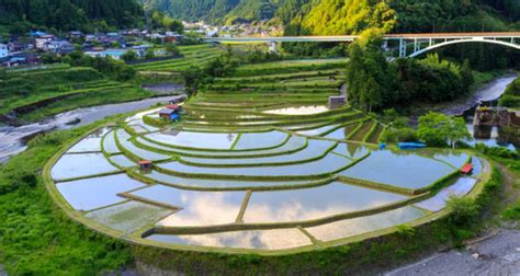 Japans Terraced Rice Fields Will Take Your Breath Away Tsunagu Japan