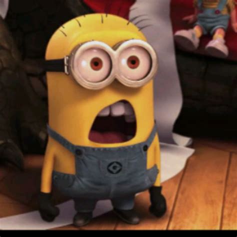 Too Cute Minions What Funny  Minions