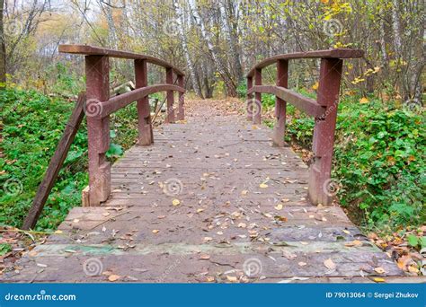 Bridge In The Autumn Forest Stock Photo Image Of Orange Light 79013064