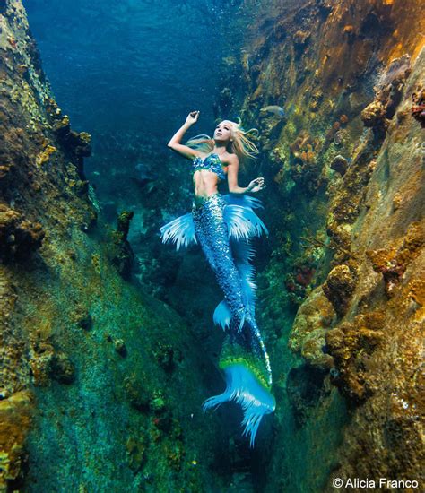 A Real Life Mermaid Who Swims With Sharks Using Her Fish Tail And Holds Breath For Minutes