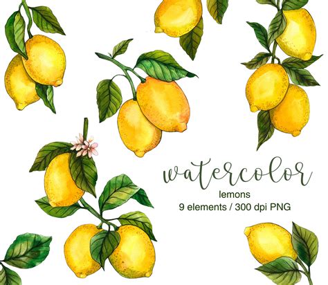 Clip Art Watercolor Fruit Free Commercial Use Watercolor Clipart Lemons