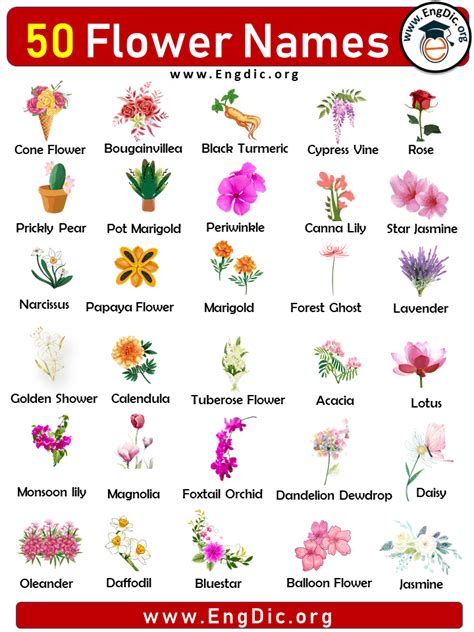 50 Flowers Names With Pictures Flower Names List Engdic 2022