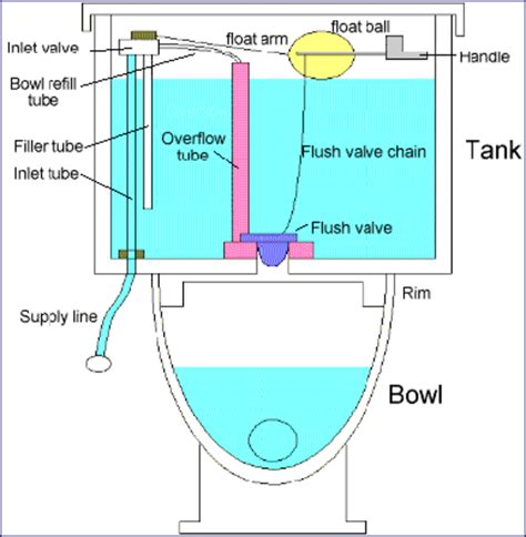 How Does A Toilet Work Toilet Basics 101 Hubpages