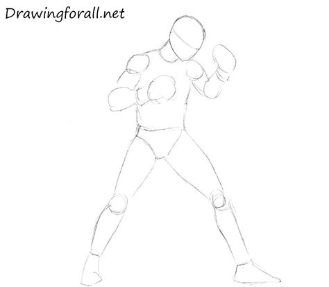 How To Draw A Boxer For Beginners