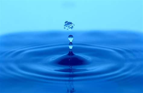 Free Images Water Drop Wave Petal Reflection Blue Moisture