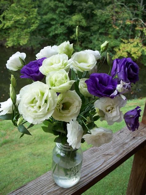 Lisianthus Beautiful For Bouquets Lisianthus Bouquet Dinner Table