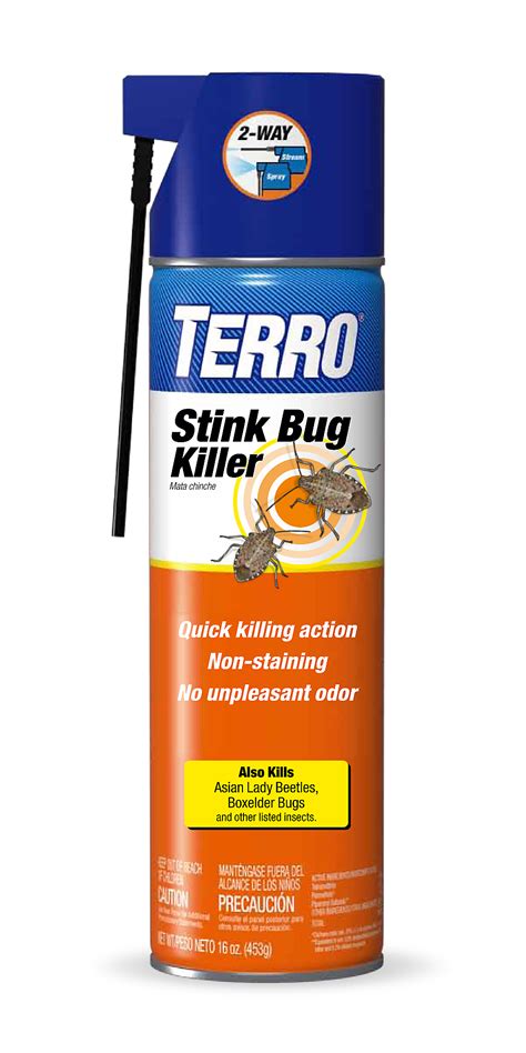 Brown Marmorated Stink Bug Facts And Information Terro