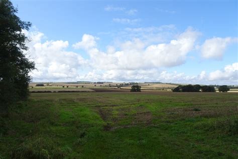 Fields Beside A Plantation DS Pugh Cc By Sa 2 0 Geograph Britain