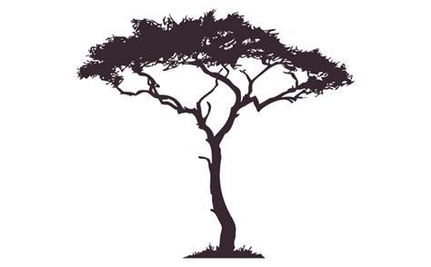 African Tree Silhouette Images At Getdrawings Free Download