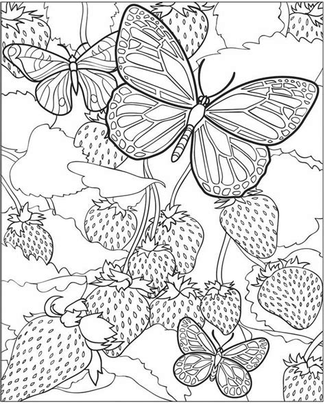 Fraise Butterfly Coloring Page Coloring Pages Detailed Coloring Pages