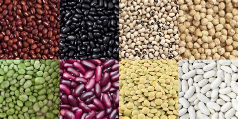 Rank name symbol market cap price circulating supply volume(24h) % 1h % 24h % 7d Do You Know Beans? | Natural Foods Market