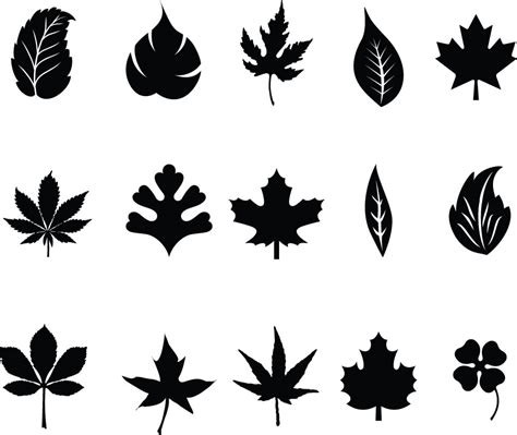 15 Leaf Vector Black And White Images Black And White Leaf Pattern