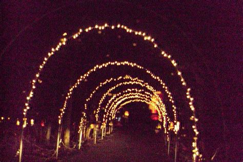 Watts Christmas Wonderlandlocated In Goshen Ny This Drive Thru