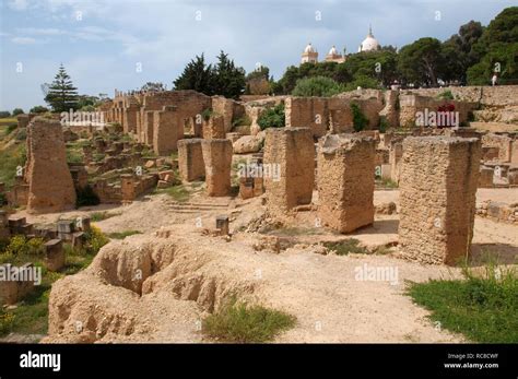 Ancient Carthage Antique City Tunisia Africa Stock Photo Alamy