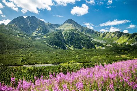 Top 5 Best Hikes In Tatra Mountains Slovakation