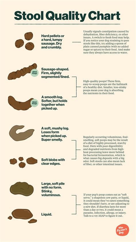 Decoding Your Dogs Poop