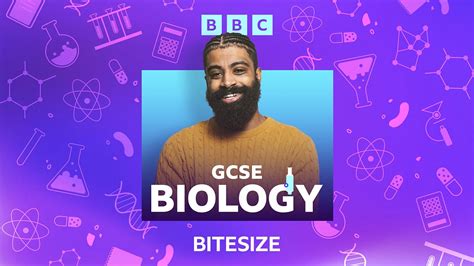 Gcse Science Podcasts The Cell Bbc Bitesize