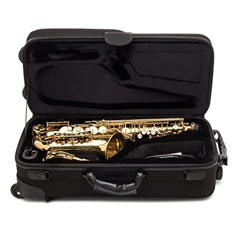Jean Paul Usa Acw 100 Alto Saxophone Case Pricepulse