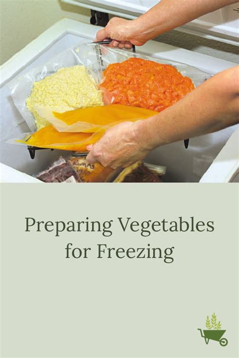 Preparing Vegetables For Freezing Vegetables Vegetable Packaging Frozen