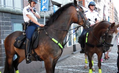 Mounted Police Mounted Police Uk