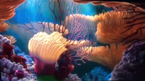 Finding Nemo Screensaver Coral Reef 2 Youtube