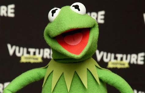 13 Best Evil Kermit The Frog Memes Photos Houston