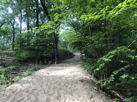 The Unique Hiking Trail In Indiana That Shows Off Our Sand Dunes