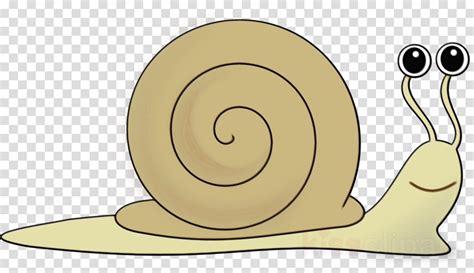 Slug Image Svg Slug Png Slug Clip Art Slug Clipart Svg Slug Download