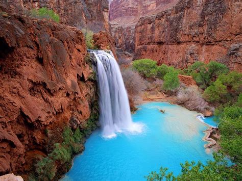 Havasu Falls Is A Waterfall Of Havasu Creek Located In The Grand Canyon Arizona Usa It Is
