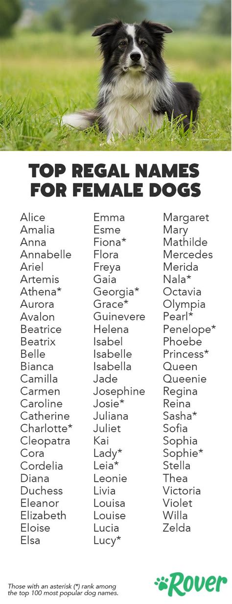 Female Dog Names List Puppies Names Female Dogs Names List Dog Names