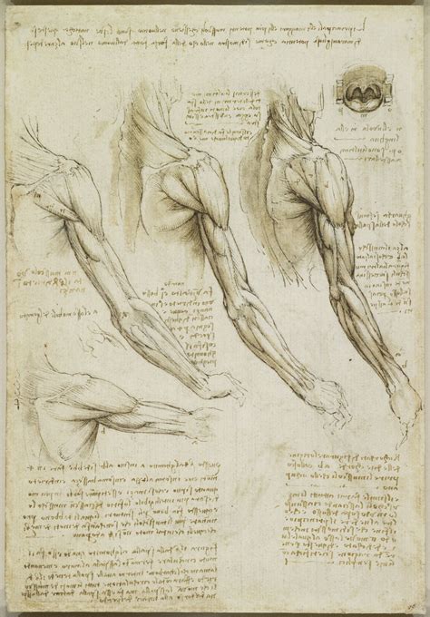 Body Maps Leonardo Da Vinci S Anatomical Drawings Anatomy Sketches