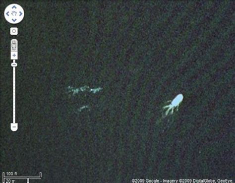 10 mysterious deep sea creatures spotted on google earth50m videos is the #1 place for all your heart warming stories about amazing people that will inspire. Sea Monster/Kraken Whoah, Nessie! The unconfirmed monster ...