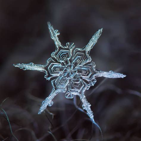 Alexeykljatov Real Snowflake Unusual Star Plate With Simple Straight
