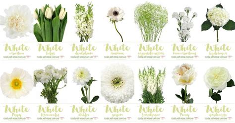 No matter the occasion, 1800flowers® has the perfect flowers & gifts for you! 100 best images about Mad hatter on Pinterest | Mad hatter ...