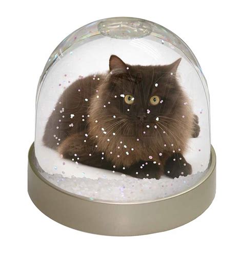 Promotional Chocolate Black Cat Snow Globe Photo Waterball Id23628