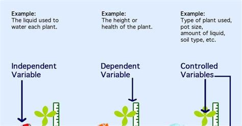 description of independent variable, dependent variable, and control ...