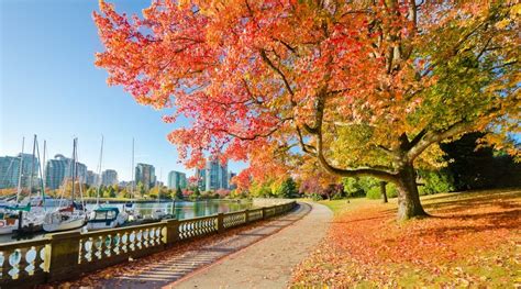 Best Places To See Fall Leaves In Vancouver Vancouver Attractions
