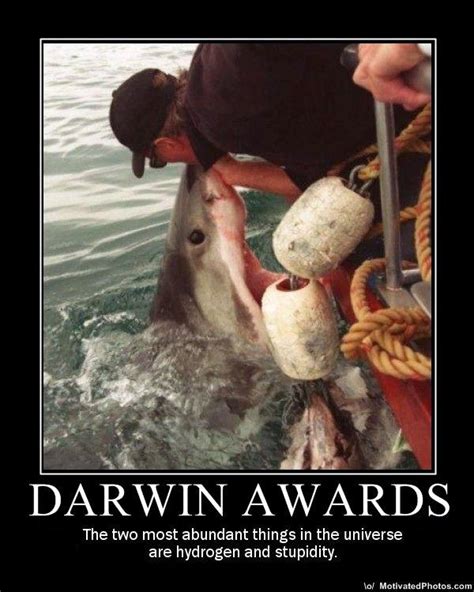 Image 519181 The Darwin Awards Know Your Meme