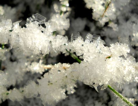 My Nature Photography Ice Crystals In Macro