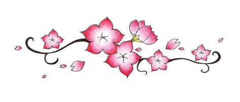 Sakura Flower Drawing 17 1600 X 683 Cherry Blossom