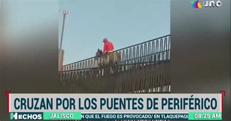 Video Captan A Caballo Cruzando Puente Peatonal En Periférico