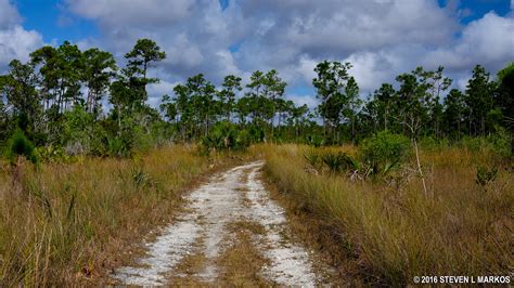 Everglades National Park Long Pine Key Nature Trail