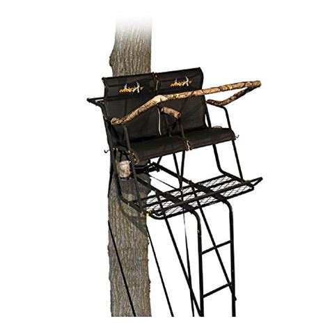 Best Two Person Ladder Stand Quentsons