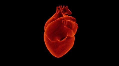 Choroba niedokrwienna serca ilu pacjentów choruje Jakie są koszty