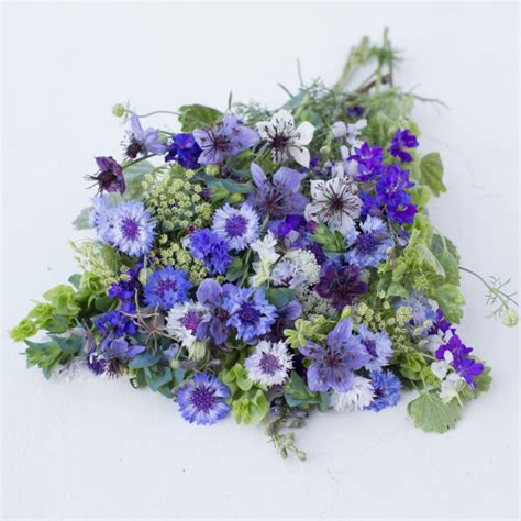 Welcome Spring With These Hardy Annual Flowers Floret
